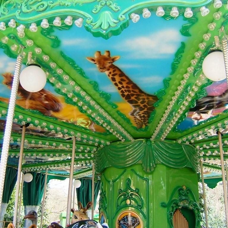 MERRY GO ROUND jungle 8.6MT Park Rides Lamborghini